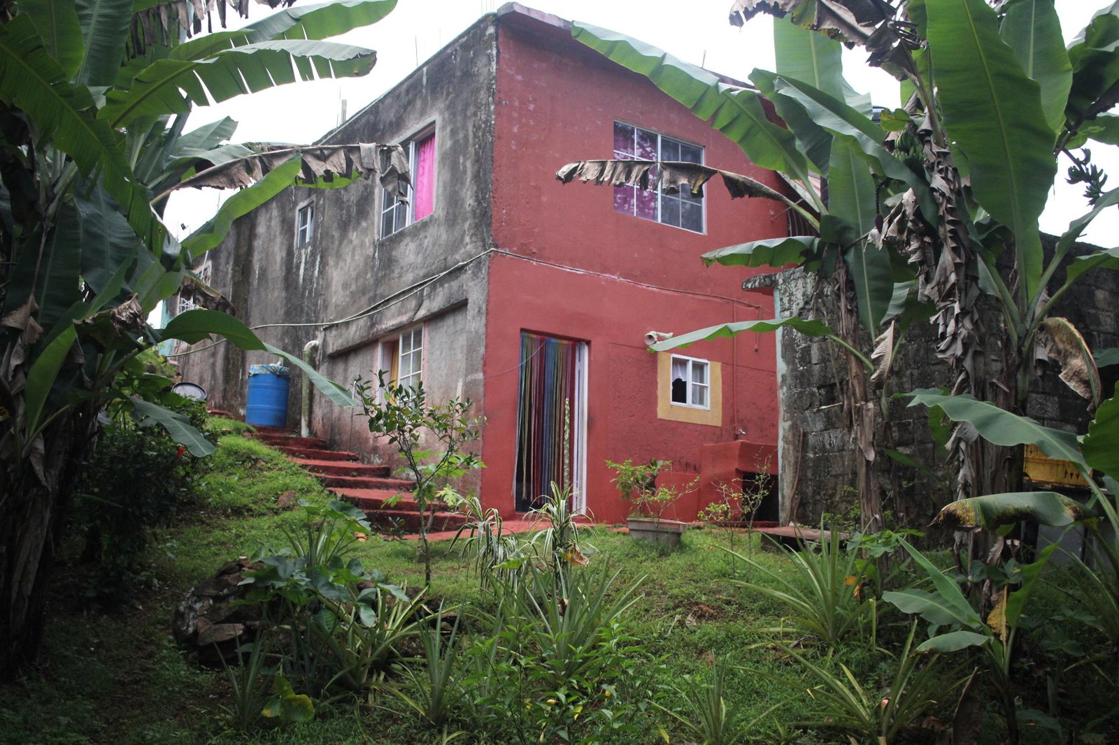 Eighteenth image of Trenail Maggotty in Maggotty, St. Elizabeth, Jamaica - property is For Sale
