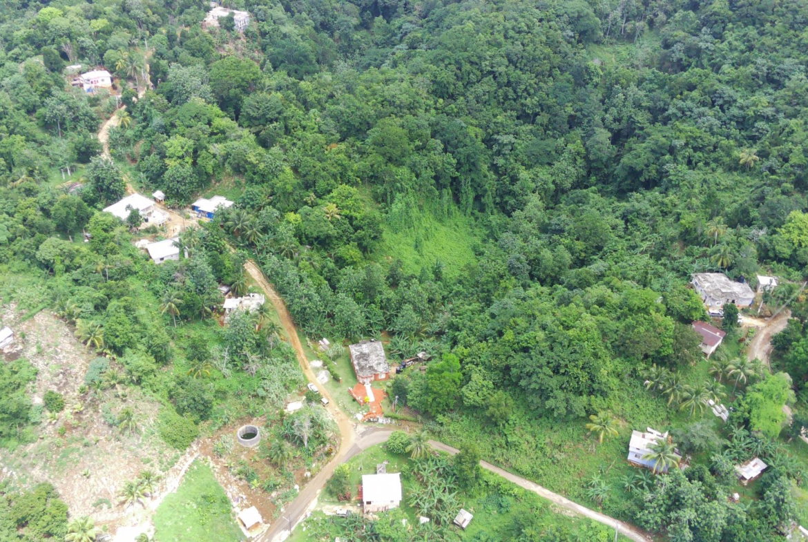 Twenty-Fourth image of Trenail Maggotty in Maggotty, St. Elizabeth, Jamaica - property is For Sale