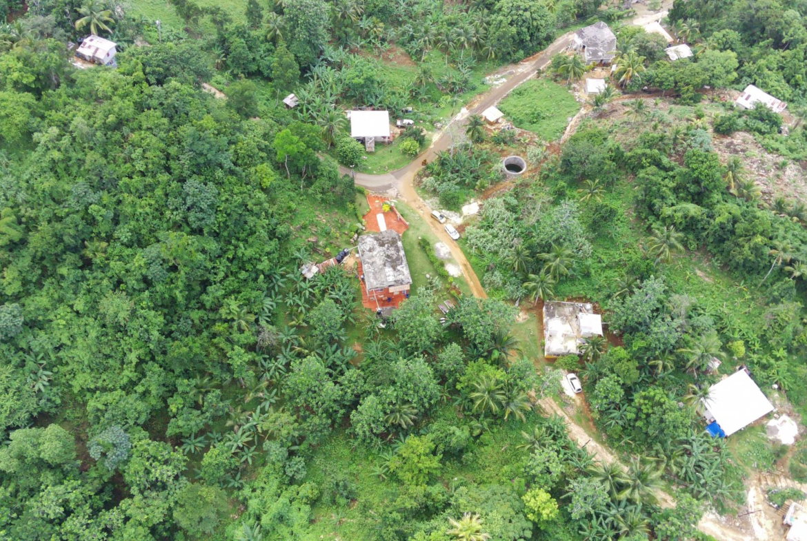 Twenty-Sixth image of Trenail Maggotty in Maggotty, St. Elizabeth, Jamaica - property is For Sale