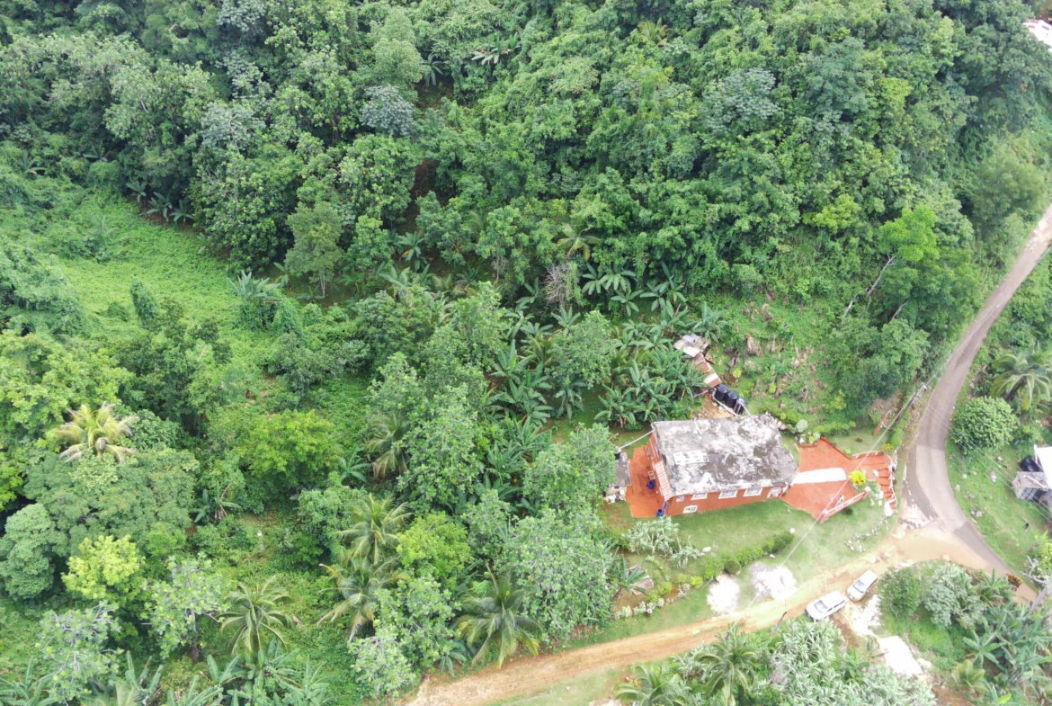 Twenty-Seventh image of Trenail Maggotty in Maggotty, St. Elizabeth, Jamaica - property is For Sale