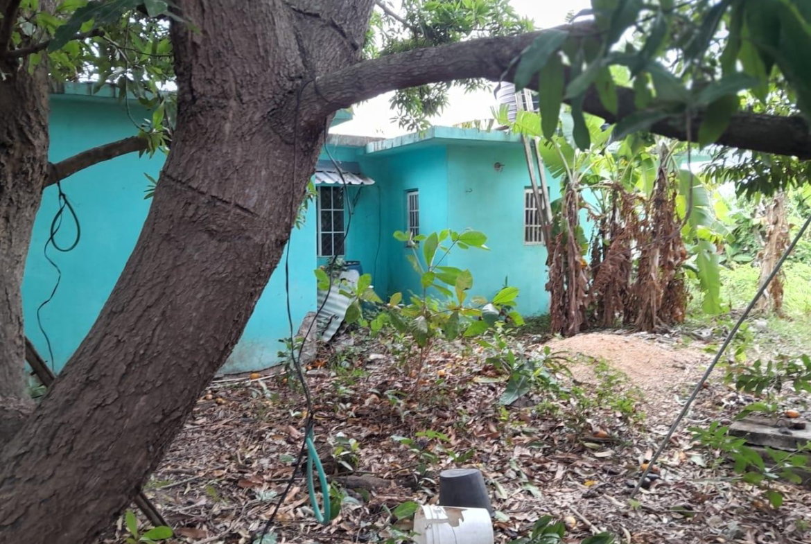 Eleventh image of Browns Avenue in Palmers Cross, Clarendon, Jamaica - property is For Sale