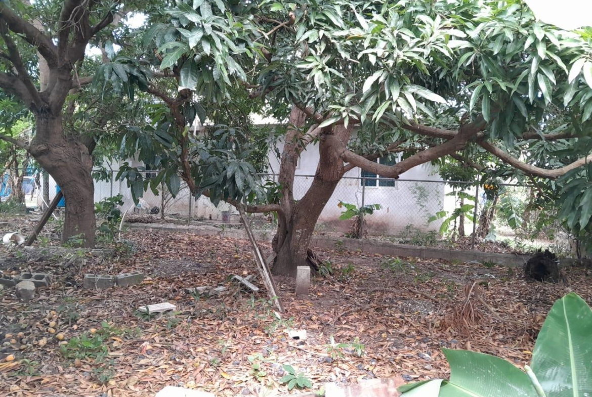 Twelfth image of Browns Avenue in Palmers Cross, Clarendon, Jamaica - property is For Sale