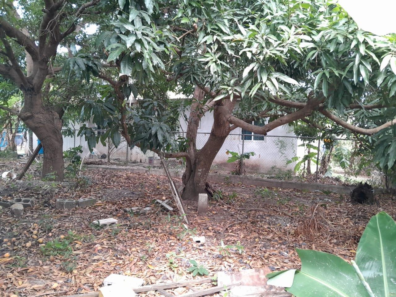 Twelfth image of Browns Avenue in Palmers Cross, Clarendon, Jamaica - property is For Sale