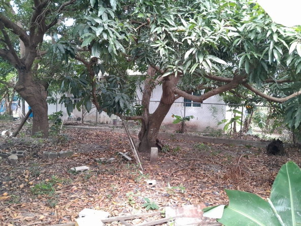 Twelfth image of Browns Avenue in Palmers Cross, Clarendon, Jamaica - property is For Sale