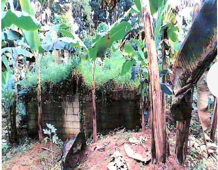 Fifth image of Lot #3 Rosend, Islington in Islington, St. Mary, Jamaica - property is For Sale