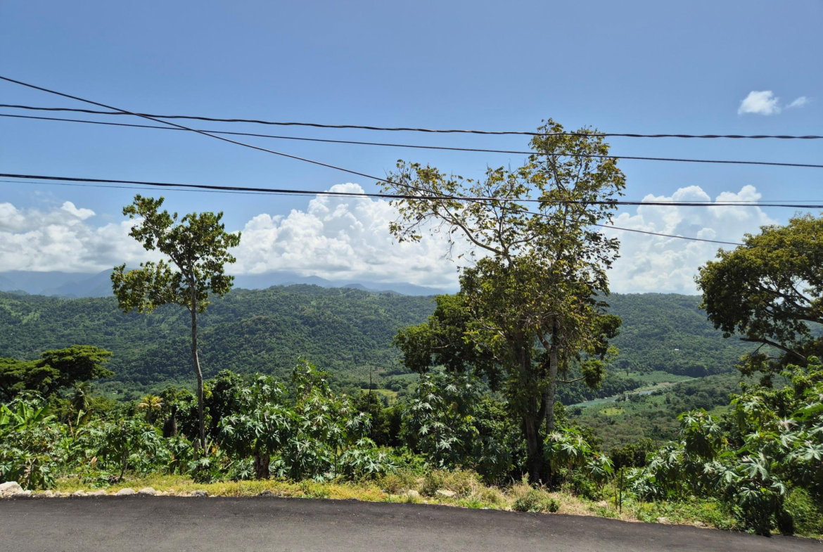 Ninth image of Lot 226 Hummingbird Blvd, Norwich in Port Antonio, Portland, Jamaica - property is For Sale