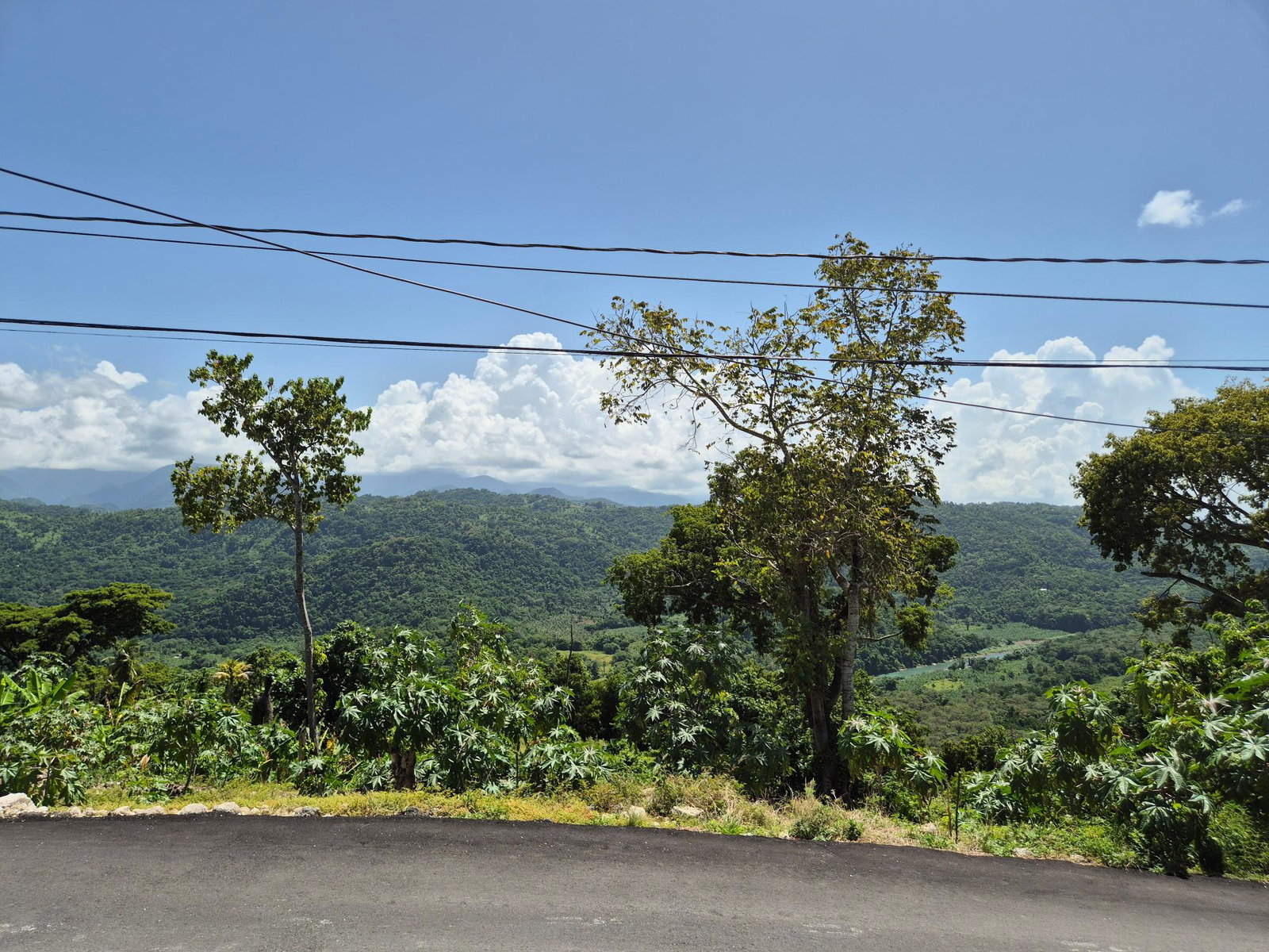 Ninth image of Lot 226 Hummingbird Blvd, Norwich in Port Antonio, Portland, Jamaica - property is For Sale