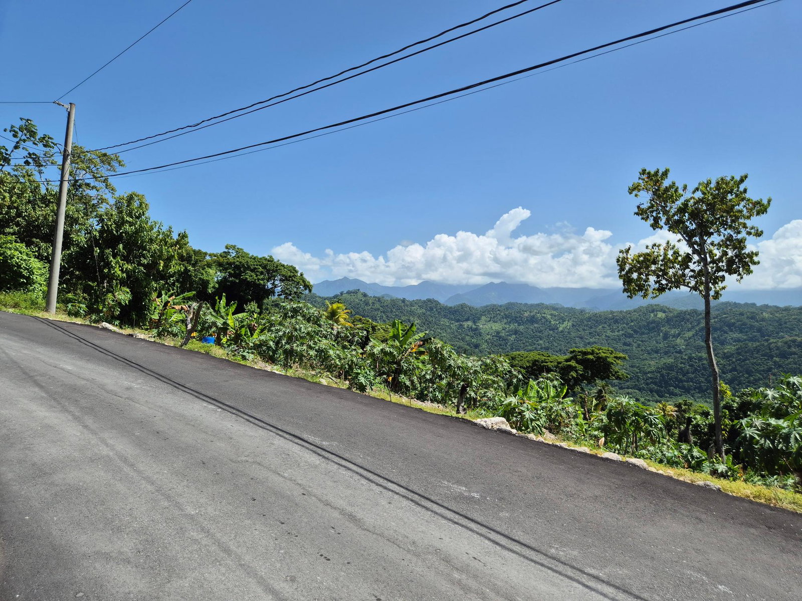 Tenth image of Lot 226 Hummingbird Blvd, Norwich in Port Antonio, Portland, Jamaica - property is For Sale