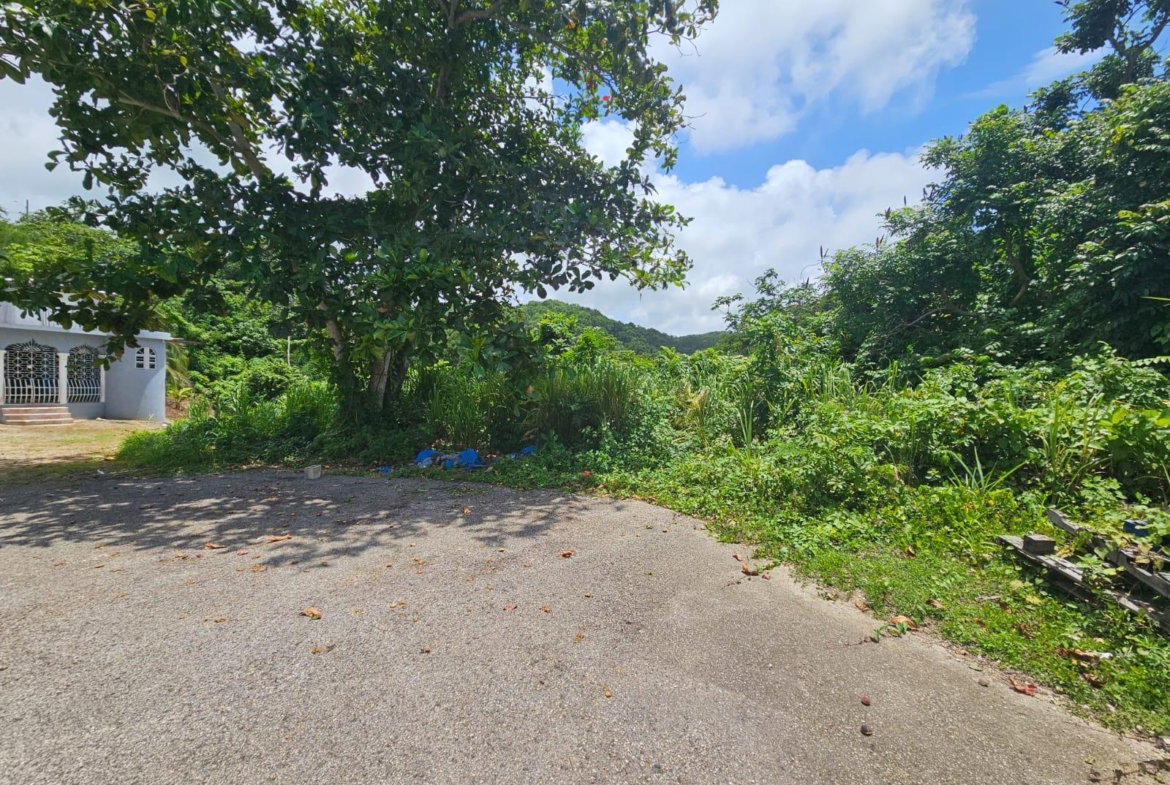 Eleventh image of Milano Way in Orchard Housing Scheme, Hanover, Jamaica - property is For Sale