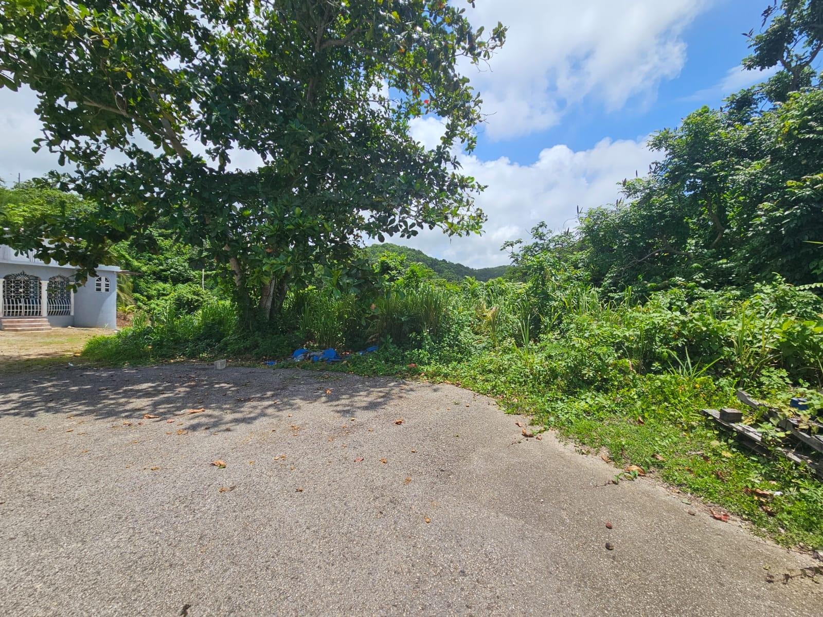 Eleventh image of Milano Way in Orchard Housing Scheme, Hanover, Jamaica - property is For Sale