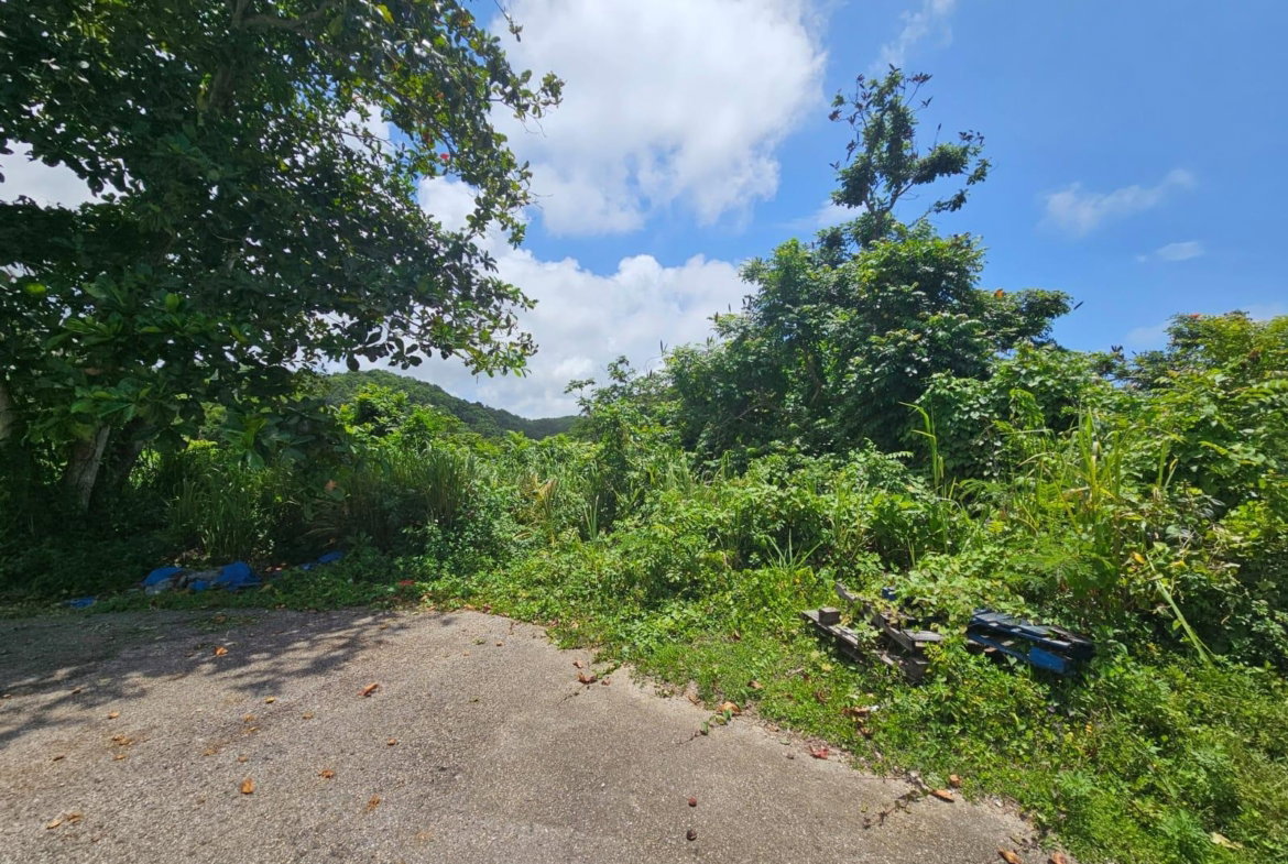 Twelfth image of Milano Way in Orchard Housing Scheme, Hanover, Jamaica - property is For Sale