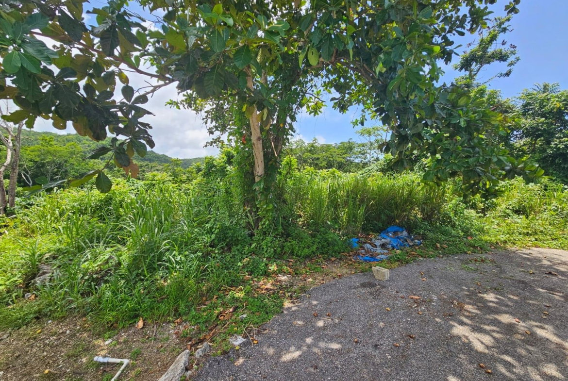 Thirteenth image of Milano Way in Orchard Housing Scheme, Hanover, Jamaica - property is For Sale