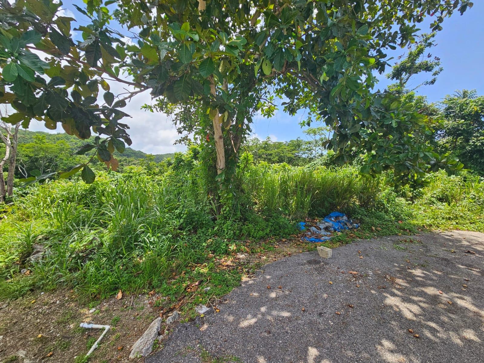 Thirteenth image of Milano Way in Orchard Housing Scheme, Hanover, Jamaica - property is For Sale