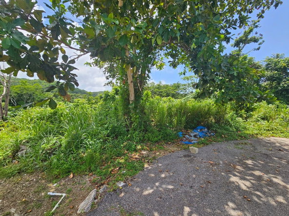 Thirteenth image of Milano Way in Orchard Housing Scheme, Hanover, Jamaica - property is For Sale