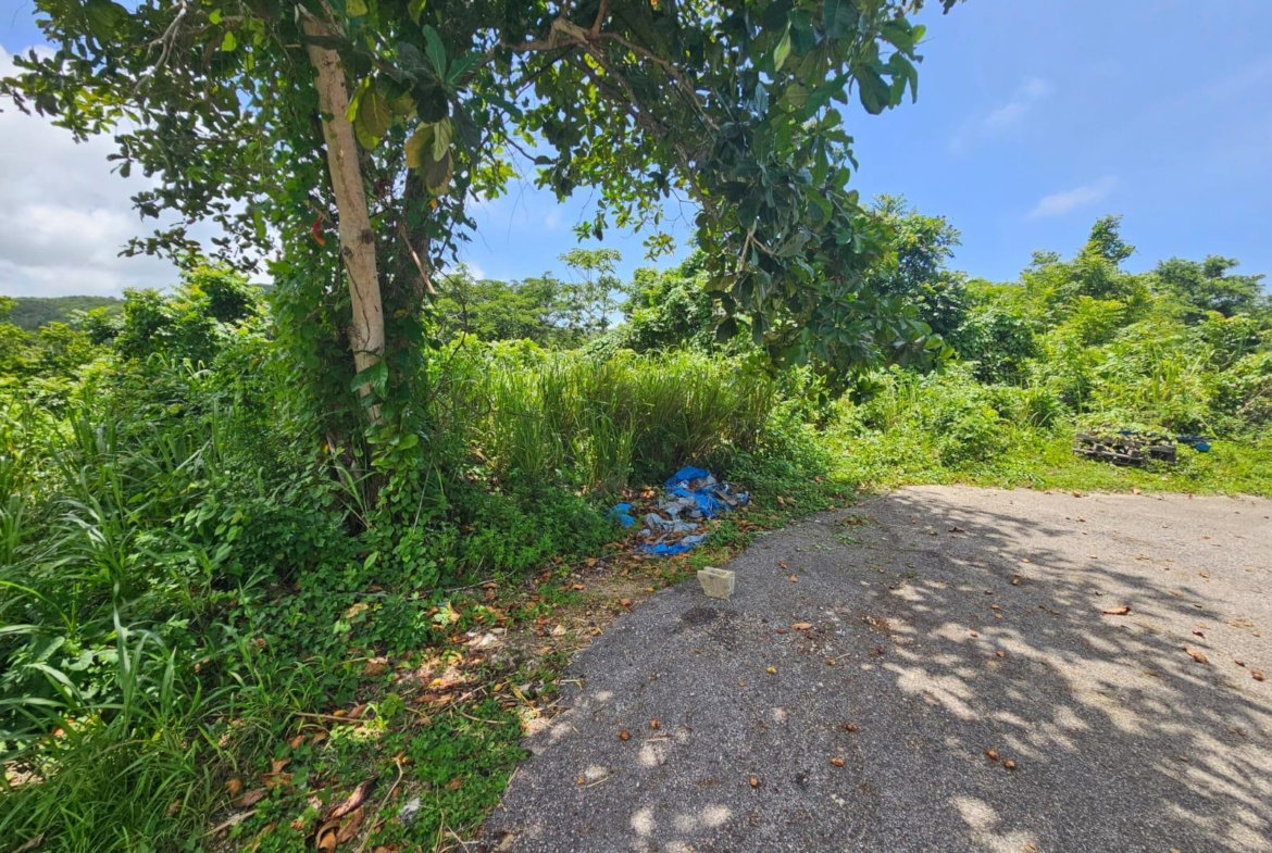 Fourteenth image of Milano Way in Orchard Housing Scheme, Hanover, Jamaica - property is For Sale