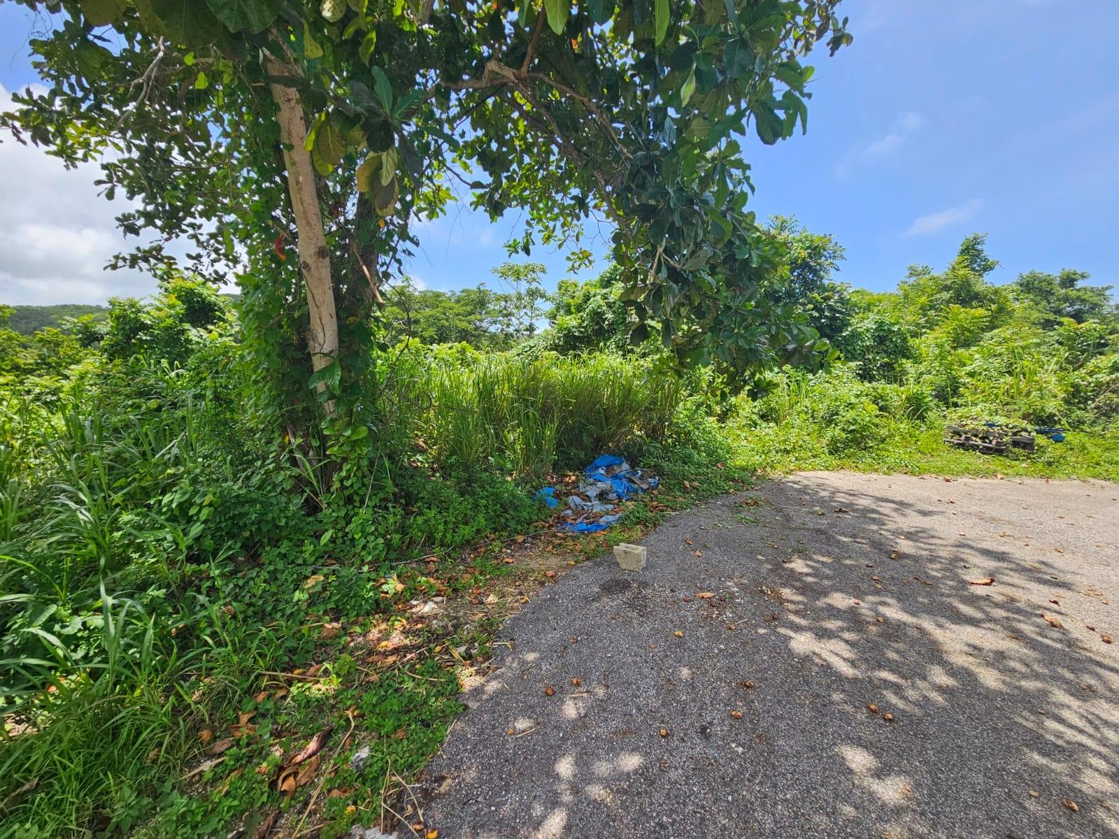 Fourteenth image of Milano Way in Orchard Housing Scheme, Hanover, Jamaica - property is For Sale