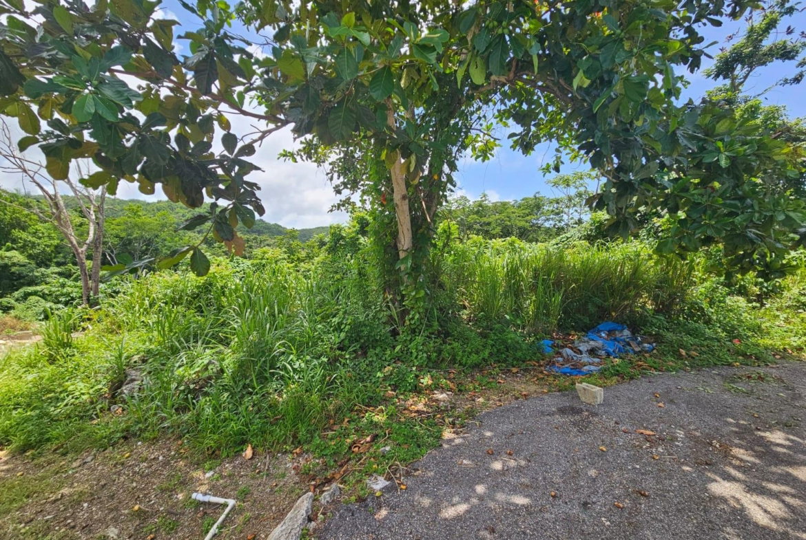 Fifteenth image of Milano Way in Orchard Housing Scheme, Hanover, Jamaica - property is For Sale