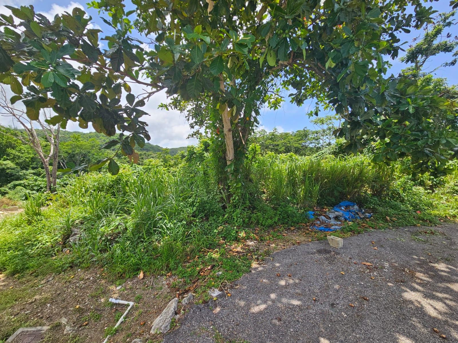 Fifteenth image of Milano Way in Orchard Housing Scheme, Hanover, Jamaica - property is For Sale