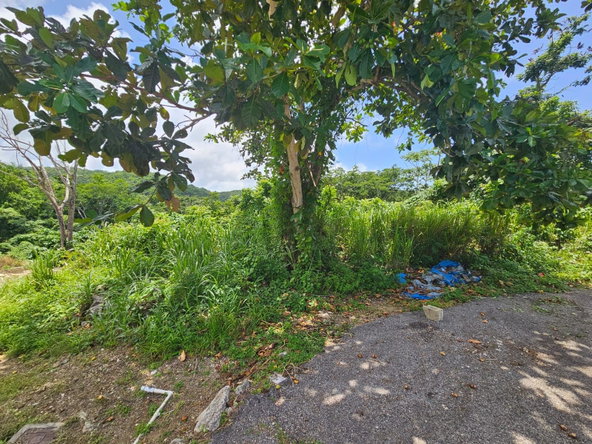 Fifteenth image of Milano Way in Orchard Housing Scheme, Hanover, Jamaica - property is For Sale