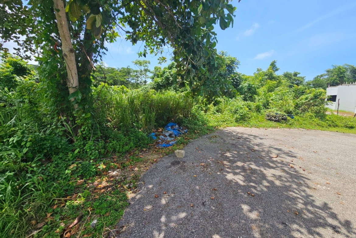 Sixteenth image of Milano Way in Orchard Housing Scheme, Hanover, Jamaica - property is For Sale