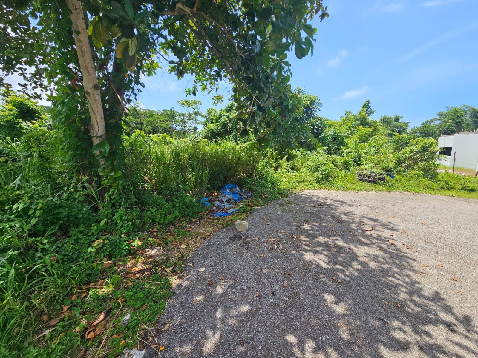 Sixteenth image of Milano Way in Orchard Housing Scheme, Hanover, Jamaica - property is For Sale
