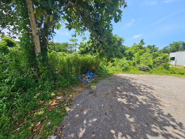 Sixteenth image of Milano Way in Orchard Housing Scheme, Hanover, Jamaica - property is For Sale