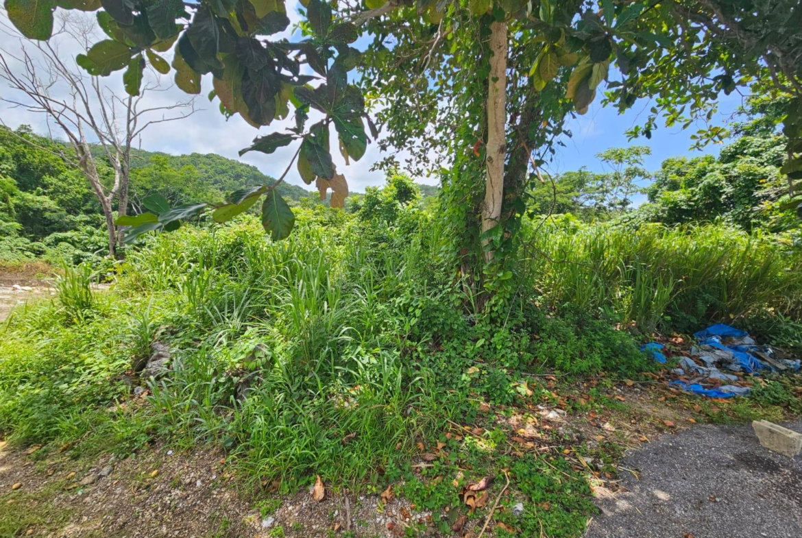 Seventeenth image of Milano Way in Orchard Housing Scheme, Hanover, Jamaica - property is For Sale