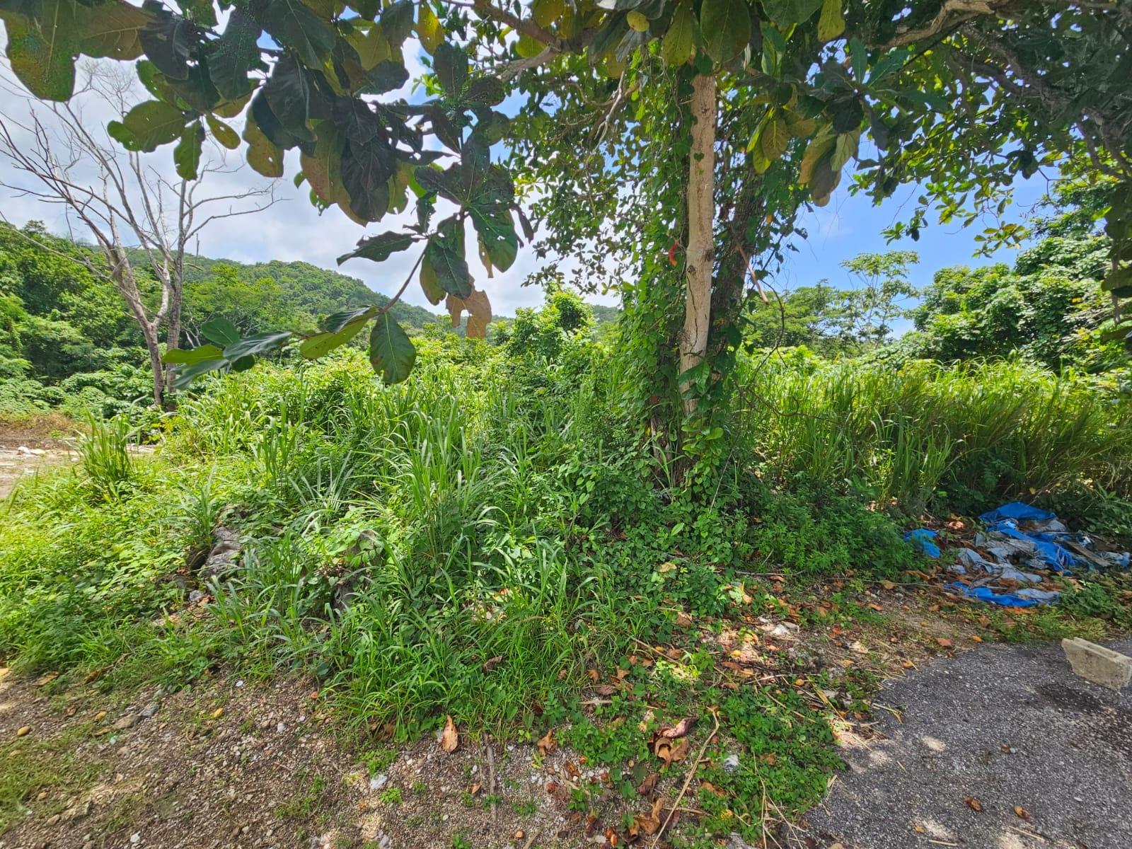 Seventeenth image of Milano Way in Orchard Housing Scheme, Hanover, Jamaica - property is For Sale