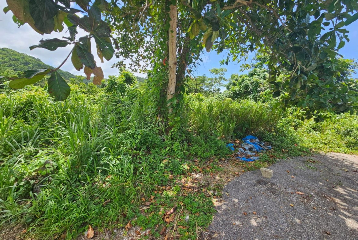 Eighteenth image of Milano Way in Orchard Housing Scheme, Hanover, Jamaica - property is For Sale