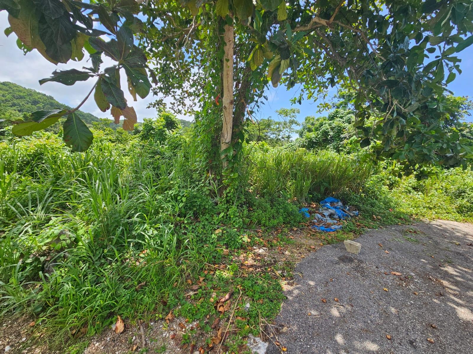 Eighteenth image of Milano Way in Orchard Housing Scheme, Hanover, Jamaica - property is For Sale