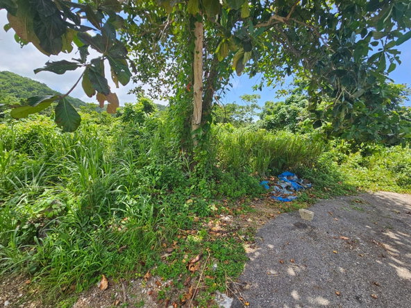 Eighteenth image of Milano Way in Orchard Housing Scheme, Hanover, Jamaica - property is For Sale
