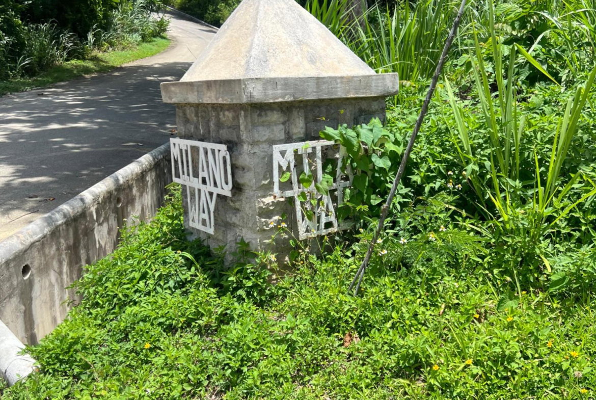 Twentieth image of Milano Way in Orchard Housing Scheme, Hanover, Jamaica - property is For Sale