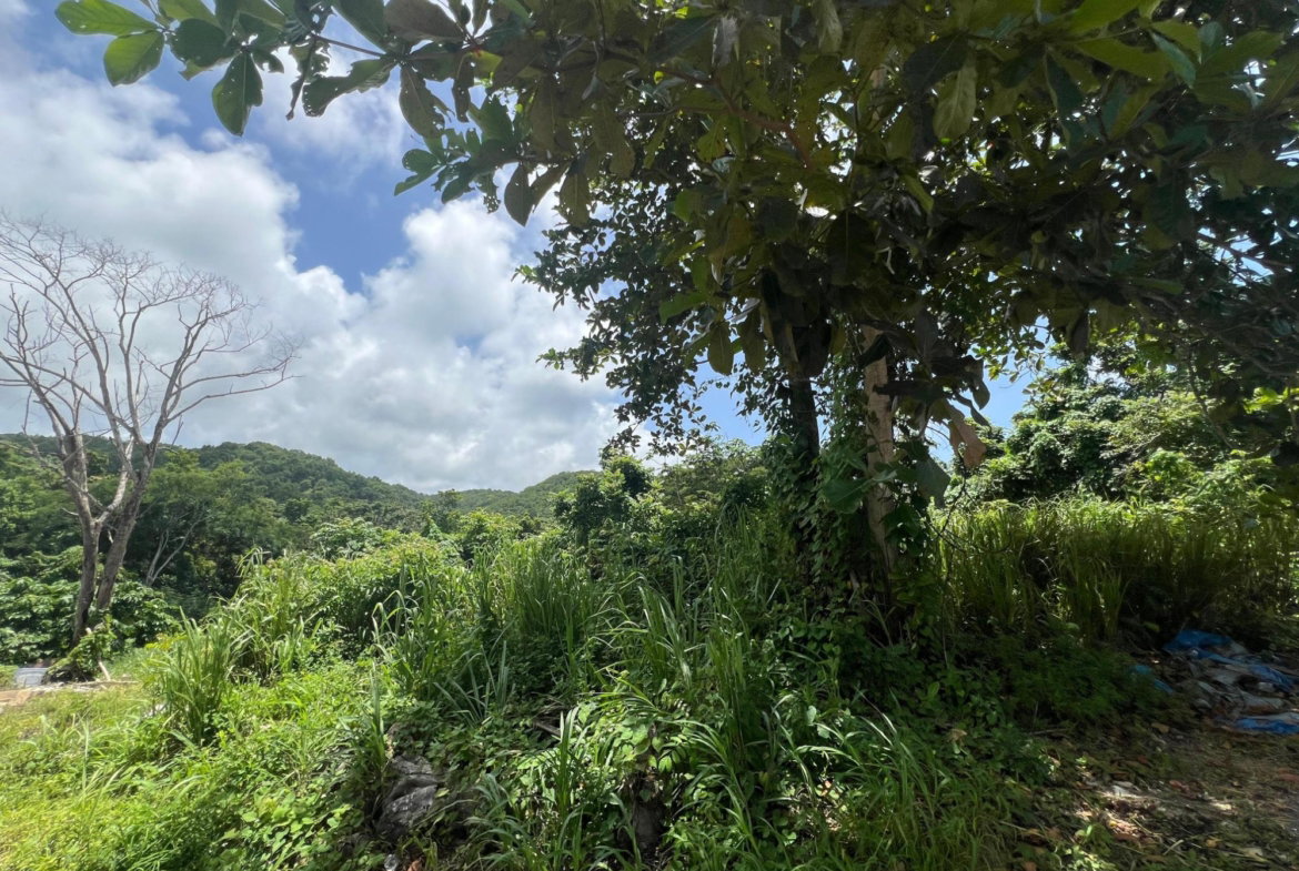 Fifth image of Milano Way in Orchard Housing Scheme, Hanover, Jamaica - property is For Sale