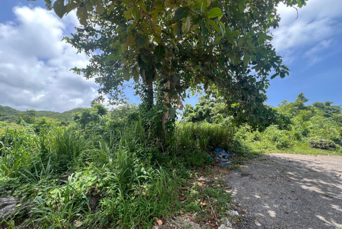 Sixth image of Milano Way in Orchard Housing Scheme, Hanover, Jamaica - property is For Sale