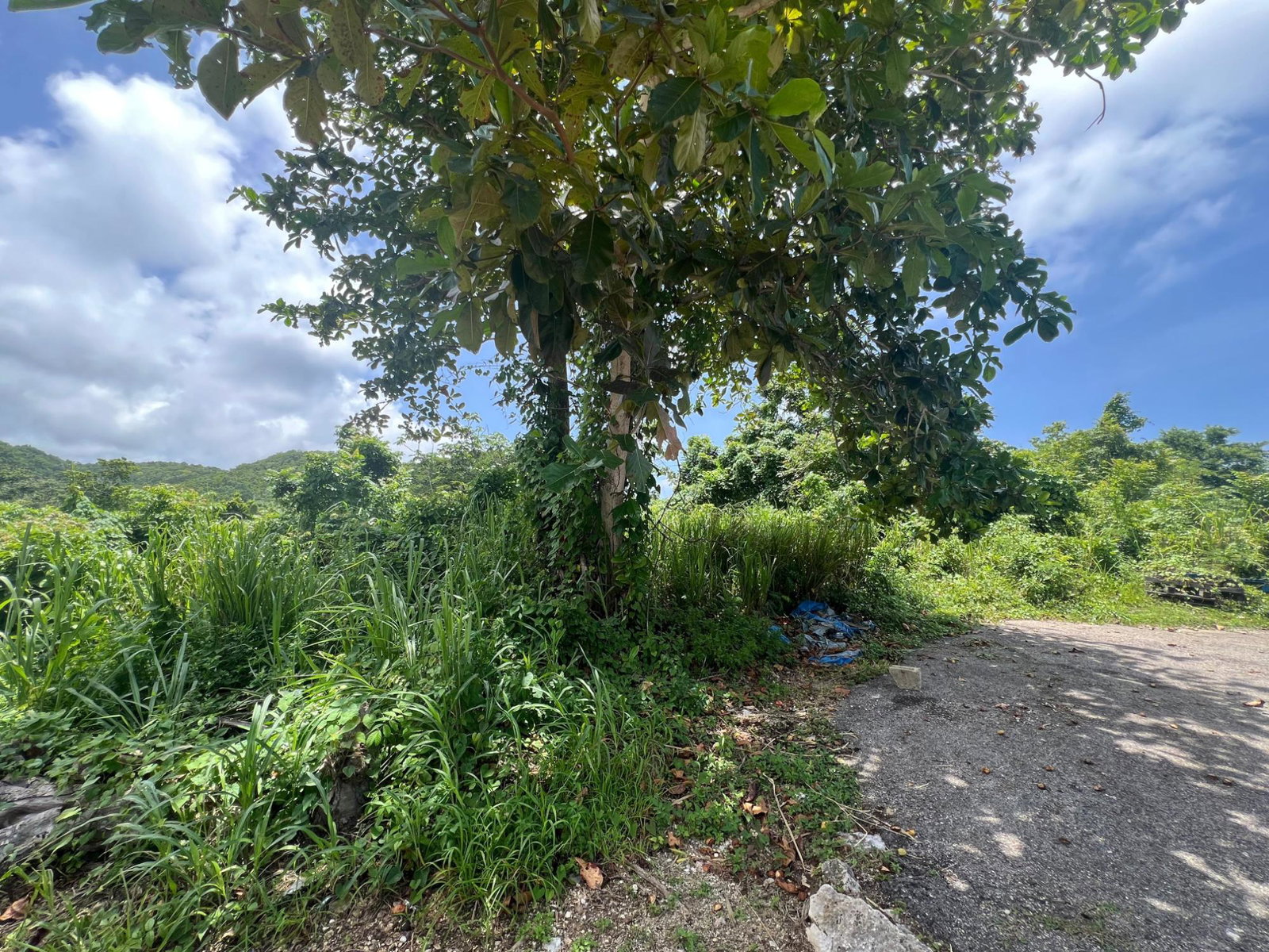 Sixth image of Milano Way in Orchard Housing Scheme, Hanover, Jamaica - property is For Sale