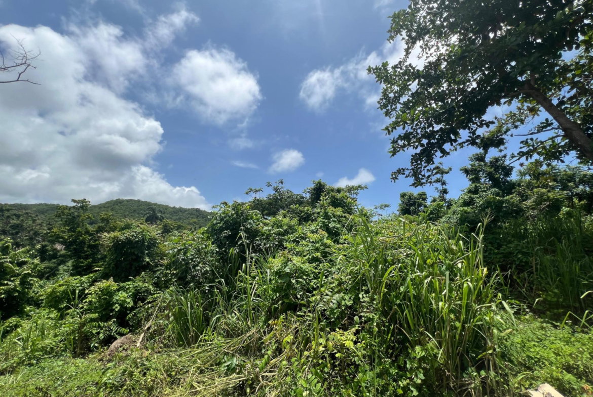 Seventh image of Milano Way in Orchard Housing Scheme, Hanover, Jamaica - property is For Sale