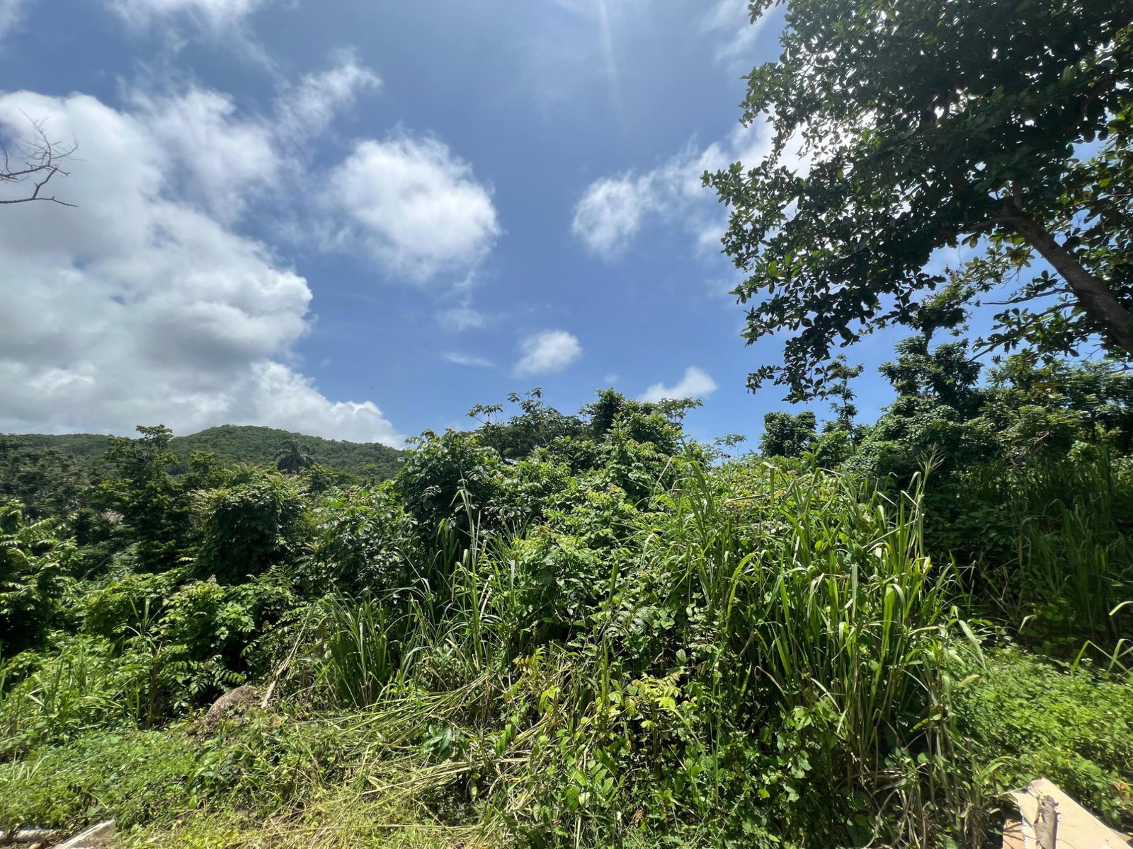 Seventh image of Milano Way in Orchard Housing Scheme, Hanover, Jamaica - property is For Sale