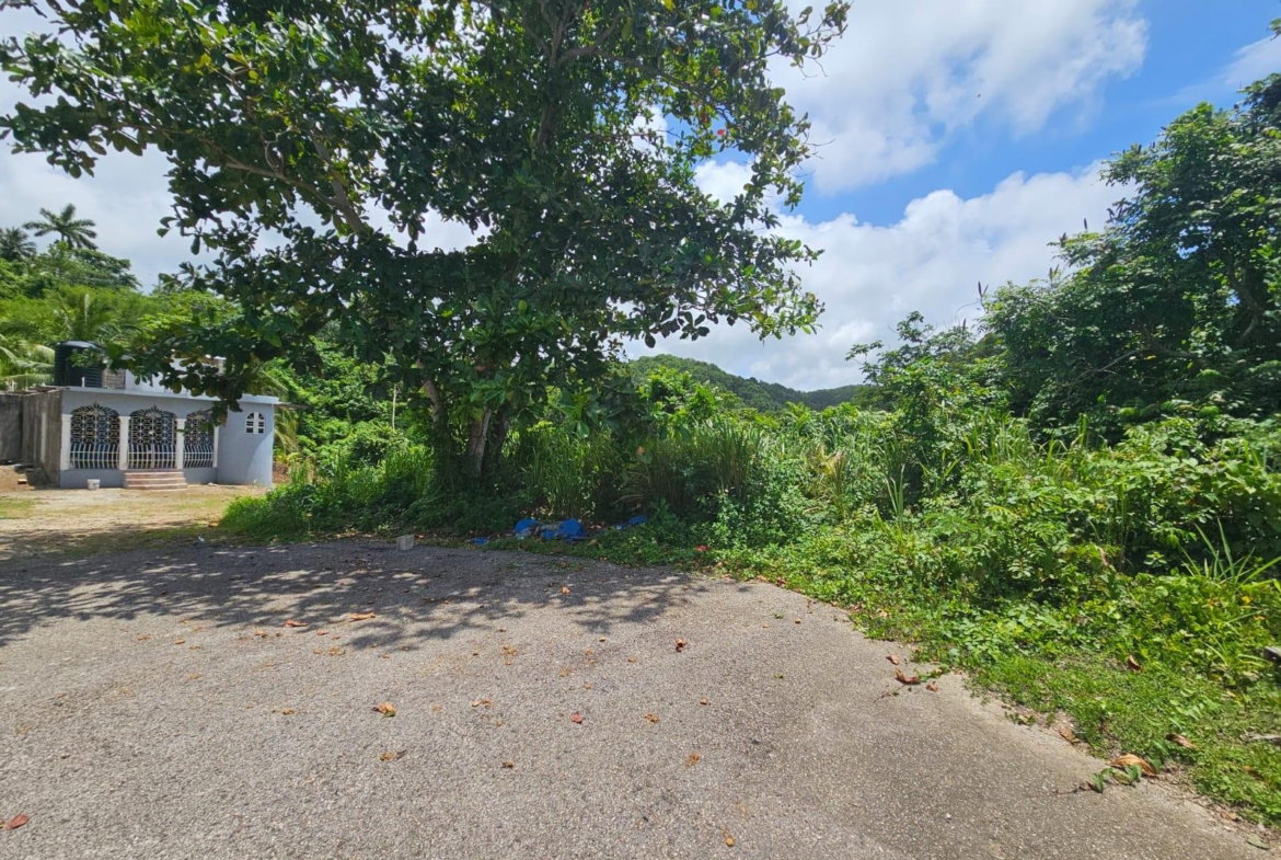 Eighth image of Milano Way in Orchard Housing Scheme, Hanover, Jamaica - property is For Sale