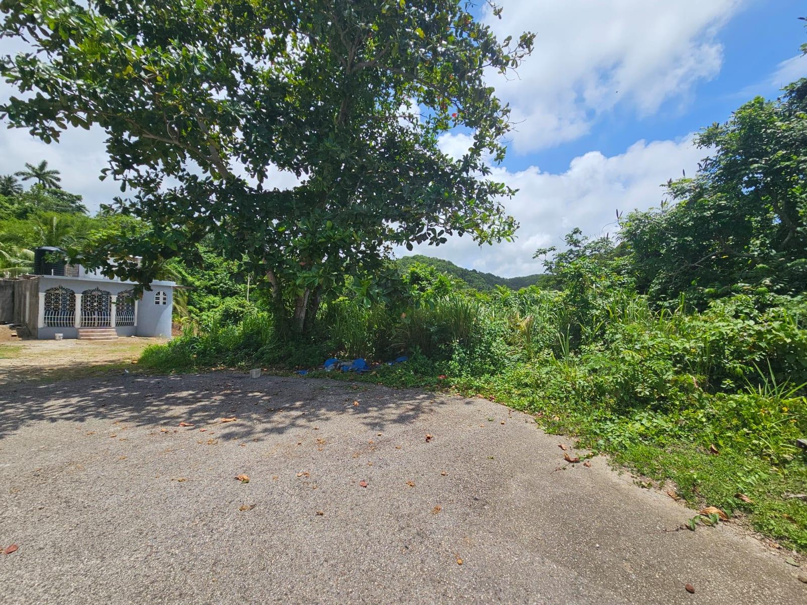 Eighth image of Milano Way in Orchard Housing Scheme, Hanover, Jamaica - property is For Sale