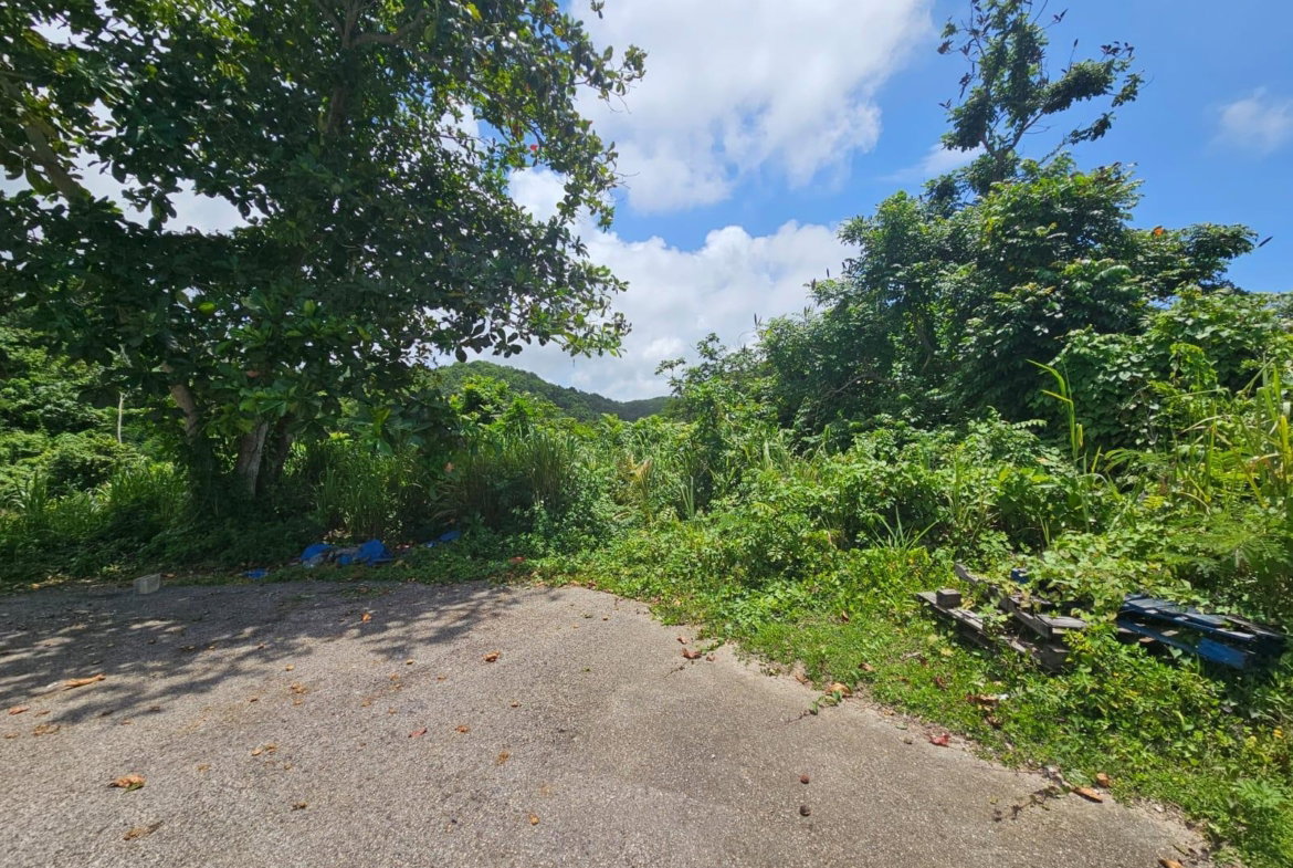 Tenth image of Milano Way in Orchard Housing Scheme, Hanover, Jamaica - property is For Sale