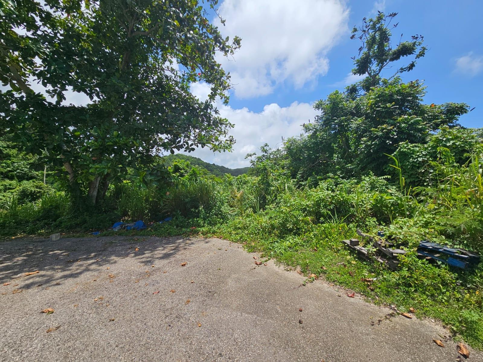 Tenth image of Milano Way in Orchard Housing Scheme, Hanover, Jamaica - property is For Sale