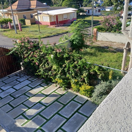 Twelfth image of Lot 14 Sunset Avenue in Culloden, Westmoreland, Jamaica - property is For Rent