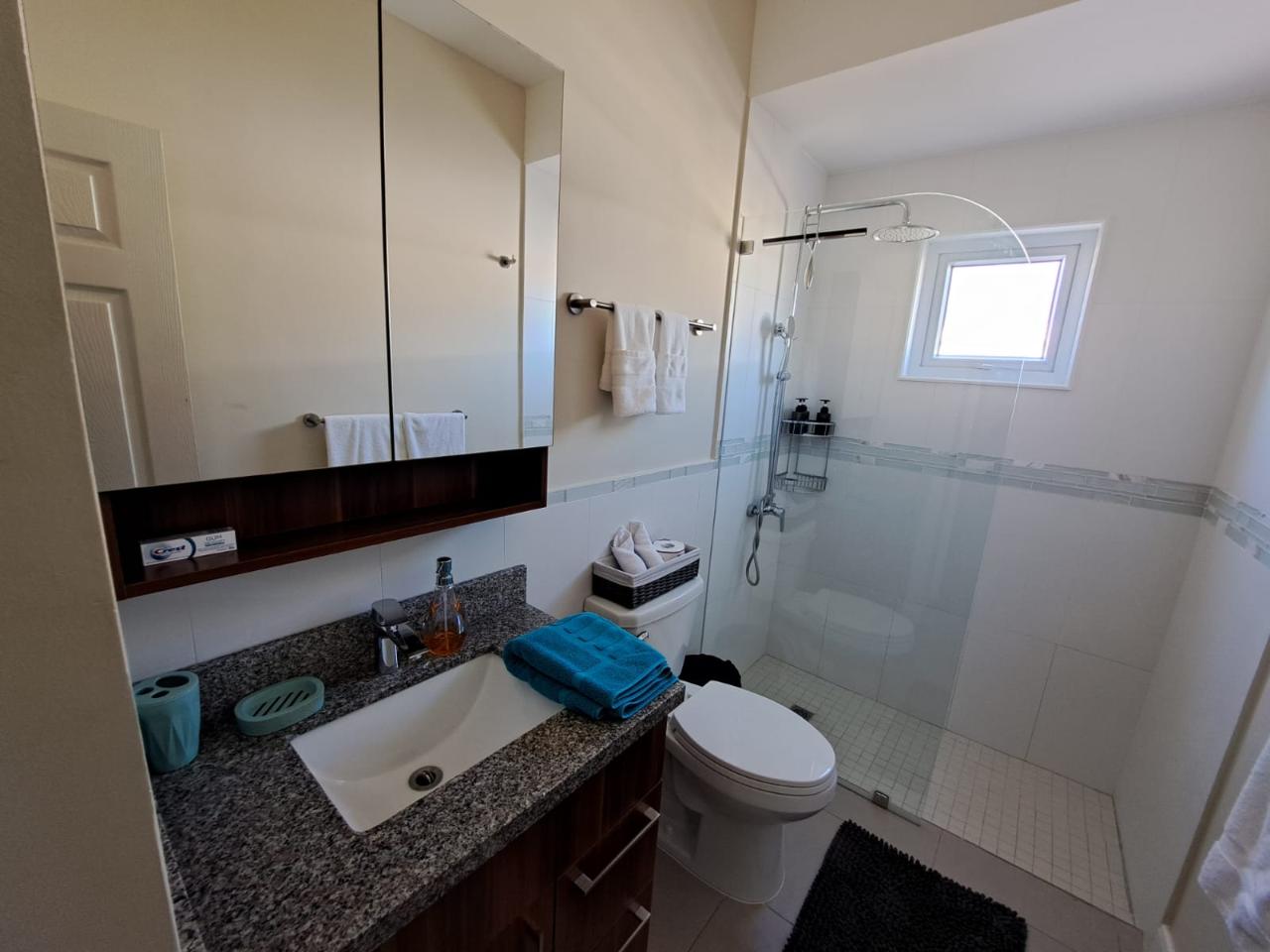 Ninth image of Ocean Pointe, Lucea in Point, Hanover, Jamaica - property is For Rent
