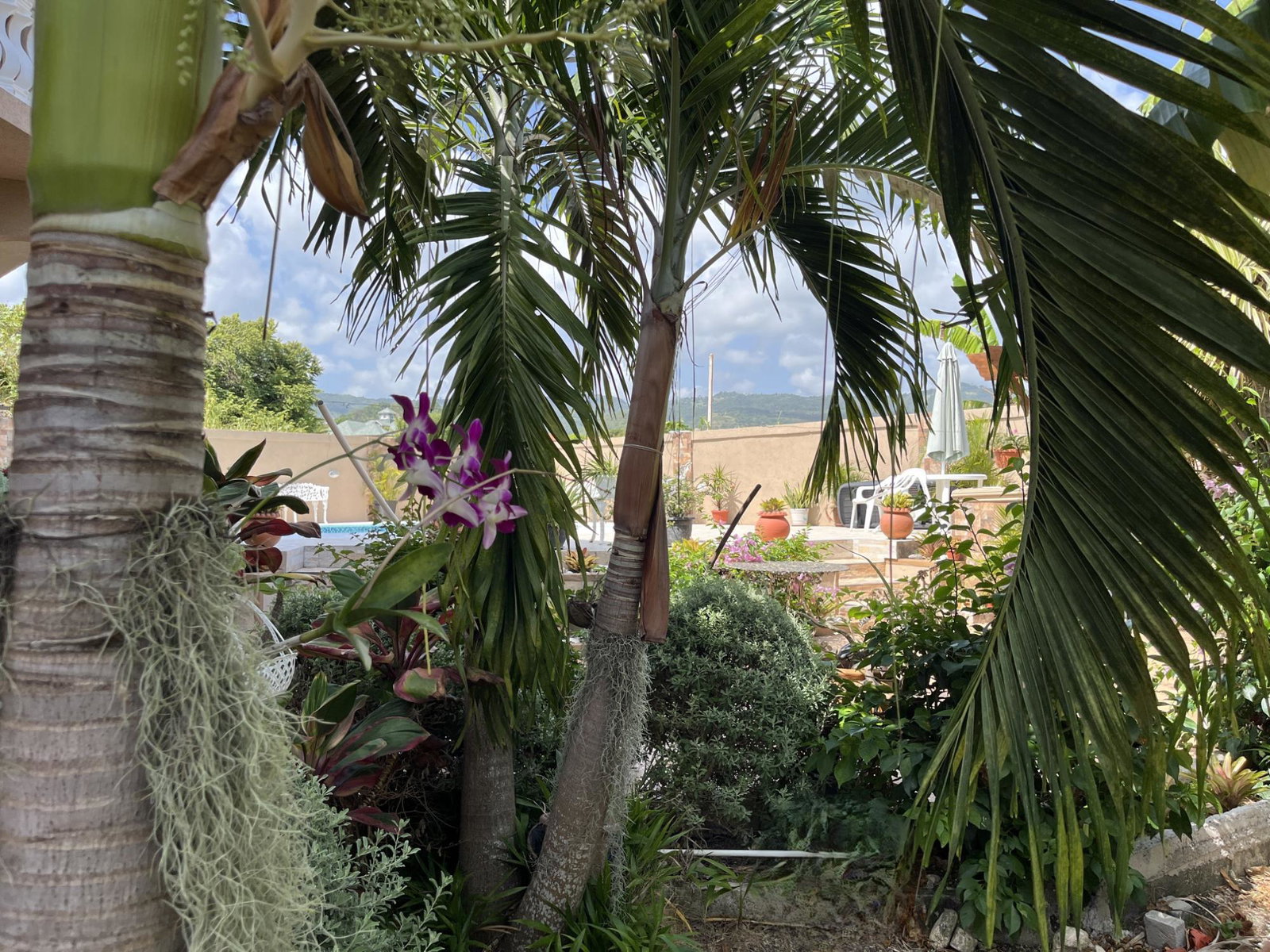 Sixteenth image of Plantation Village,st Ann in Plantation Village, St. Ann, Jamaica - property is For Sale