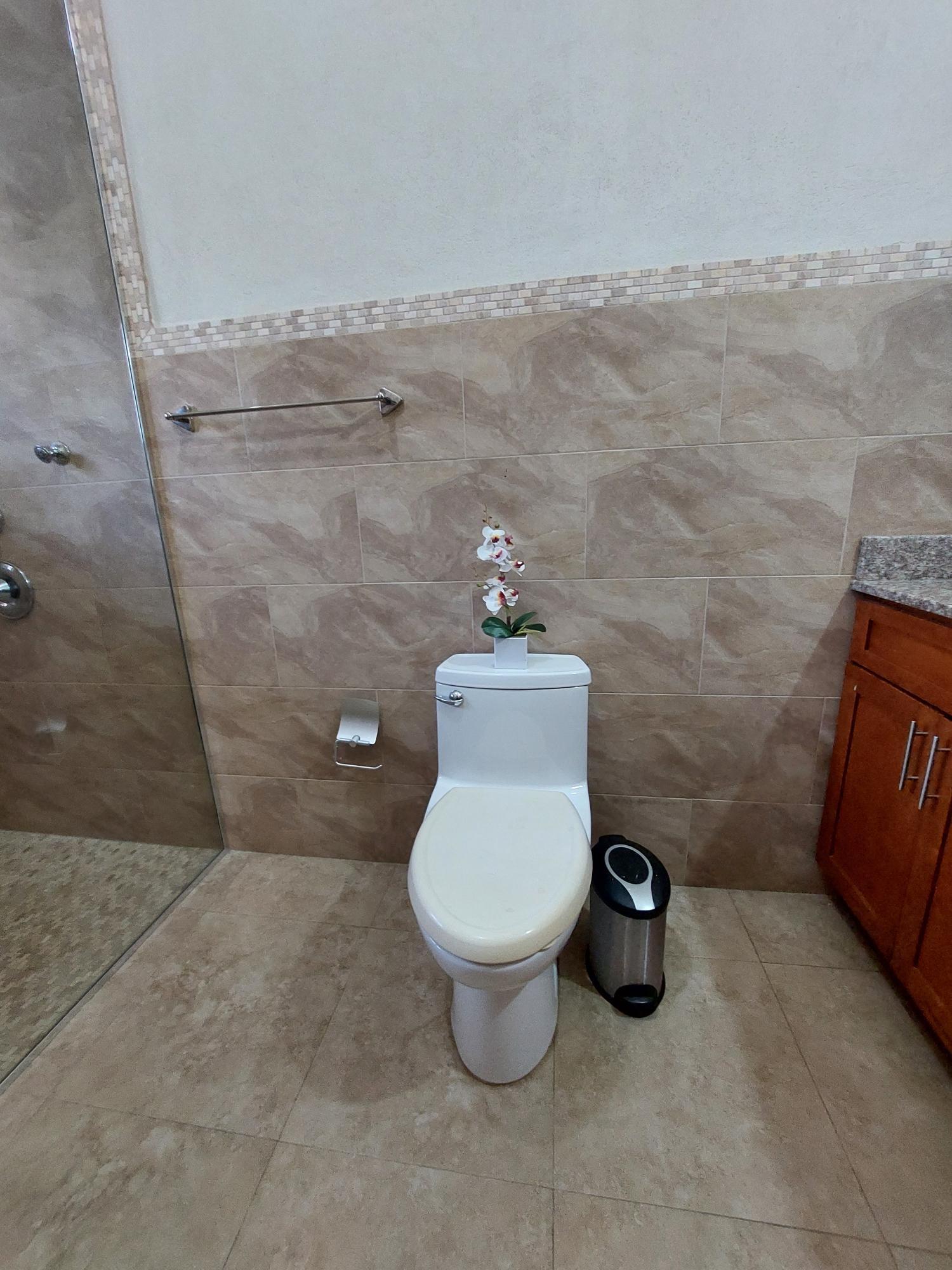 Third image of 1 31 Hopefield Avenue in Kingston 6, St. Andrew, Jamaica - property is For Sale