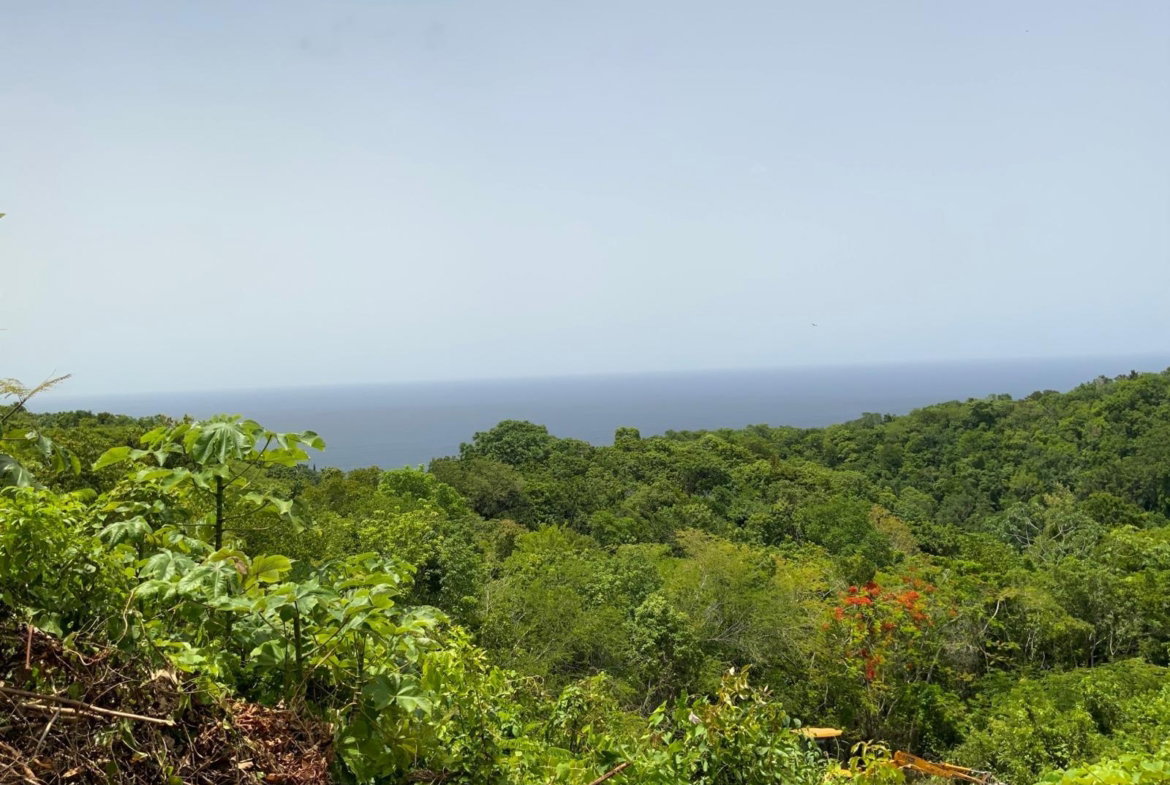 Second image of 28- Unity Hall in Unity Hall, St. James, Jamaica - property is For Sale