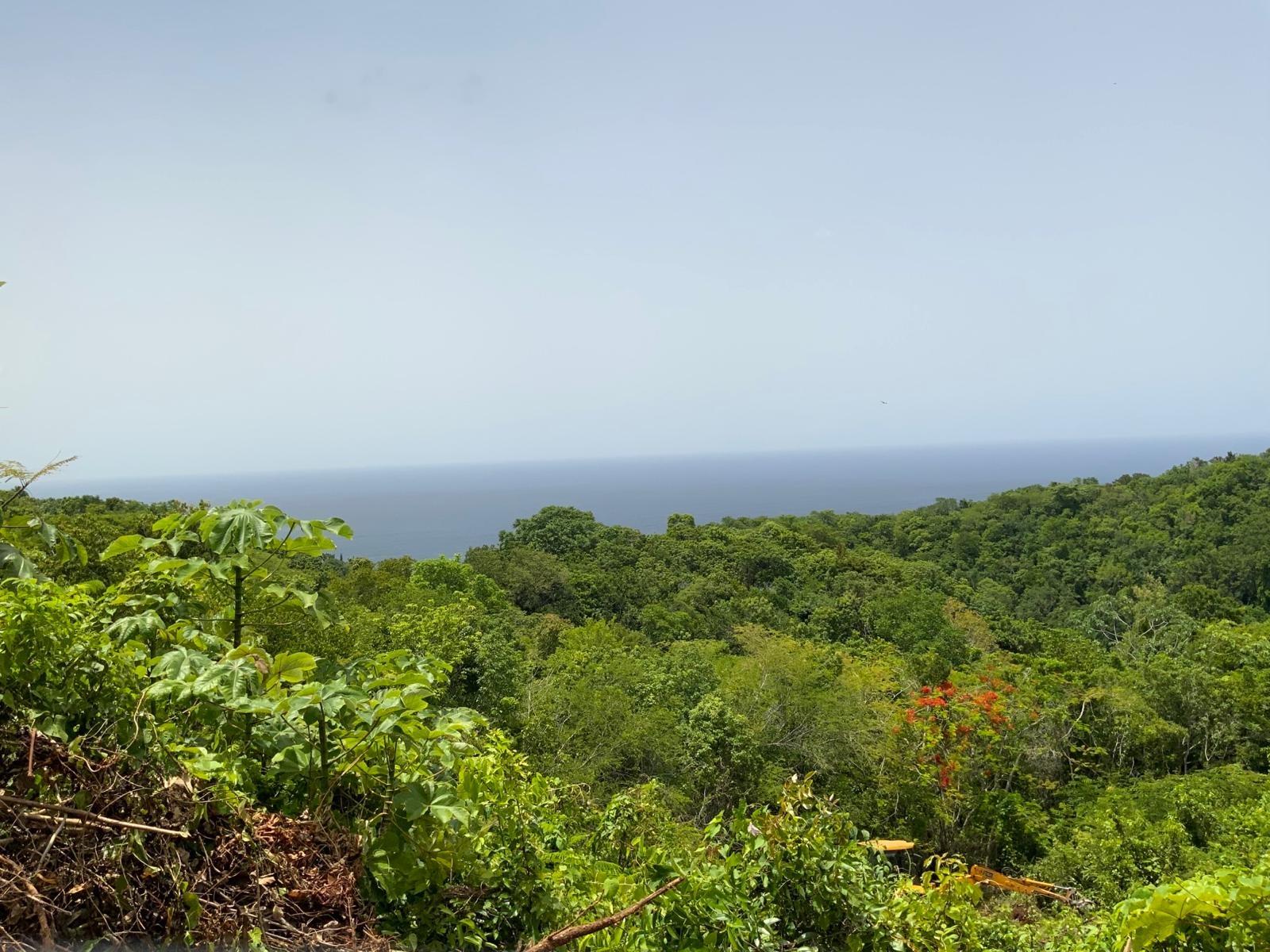 Second image of 28- Unity Hall in Unity Hall, St. James, Jamaica - property is For Sale