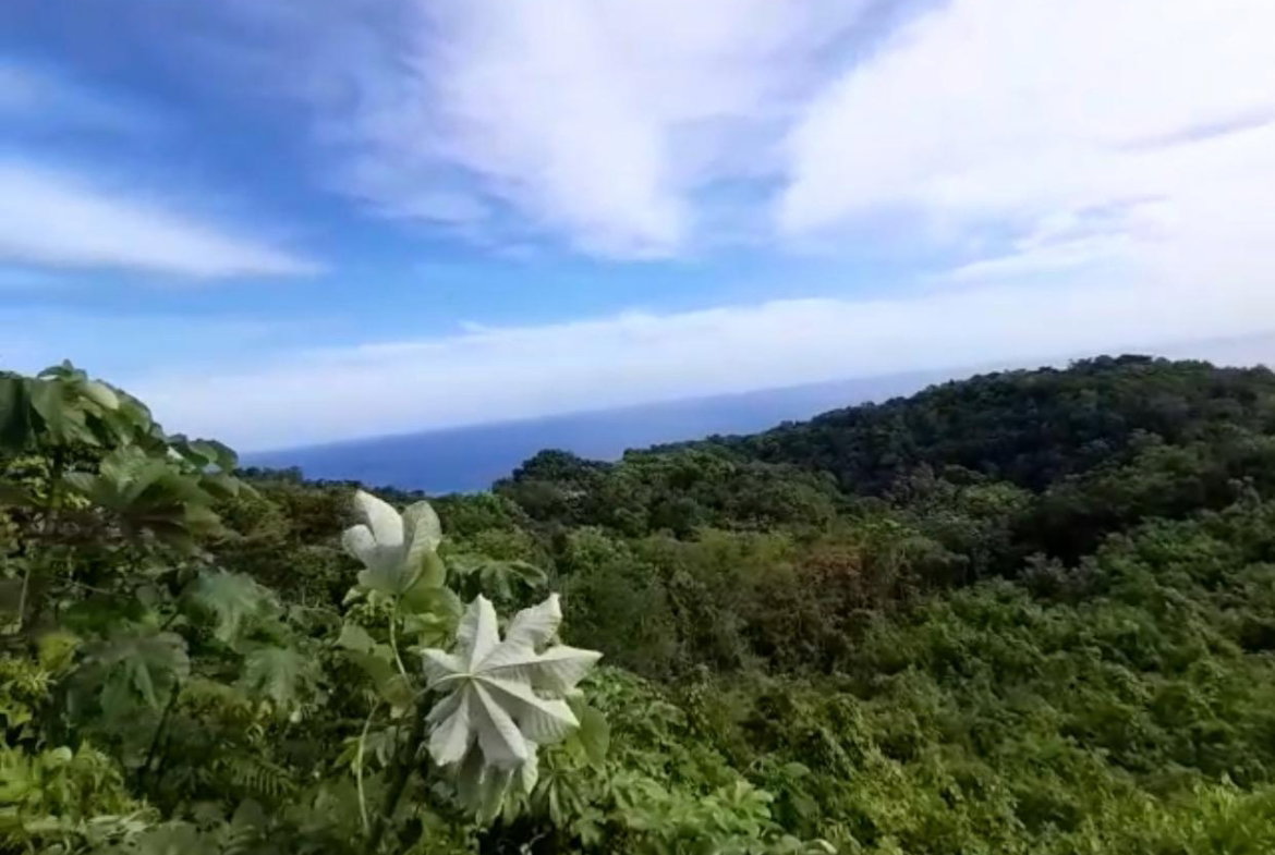 First image of 28- Unity Hall in Unity Hall, St. James, Jamaica - property is For Sale