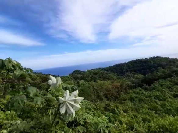 First image of 28- Unity Hall in Unity Hall, St. James, Jamaica - property is For Sale