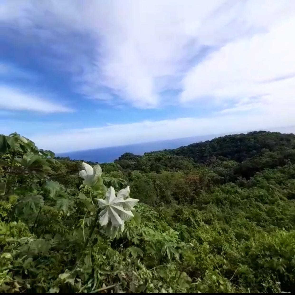 First image of 28- Unity Hall in Unity Hall, St. James, Jamaica - property is For Sale